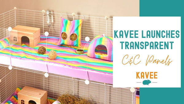 Kavee Launches Transparent C&C Panels