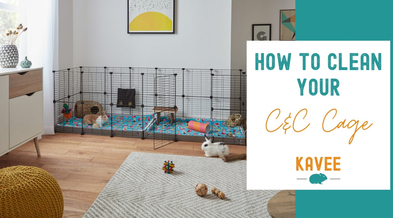 how to clean C&C cage c and c cage guinea pig usa kavee