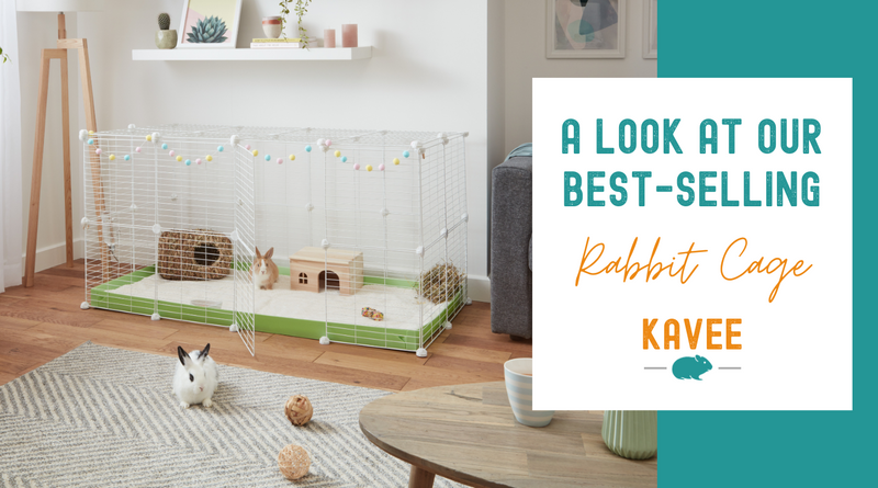 A closer look at our bestselling indoor rabbit cage