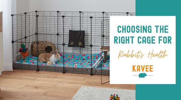 Choosing the right cage for your rabbit's health