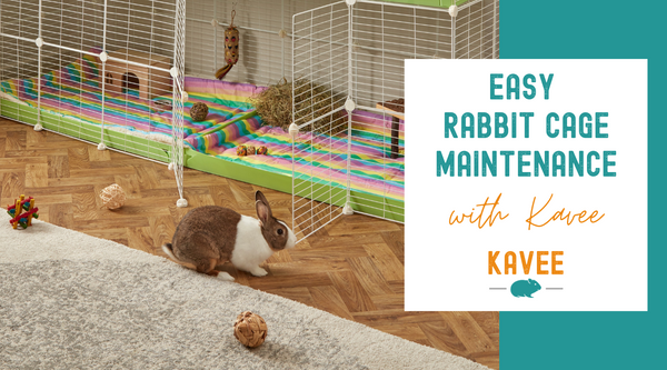 Easy Rabbit Cage Maintenance with Kavee Cages