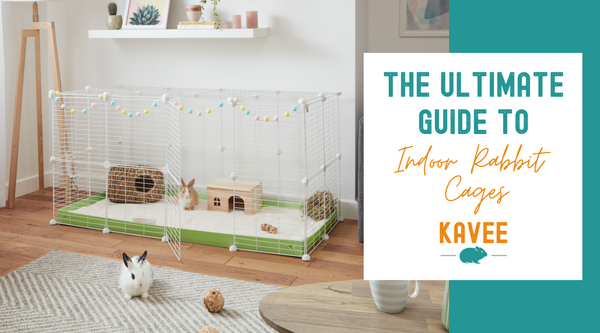 The ultimate guide to indoor rabbit cages