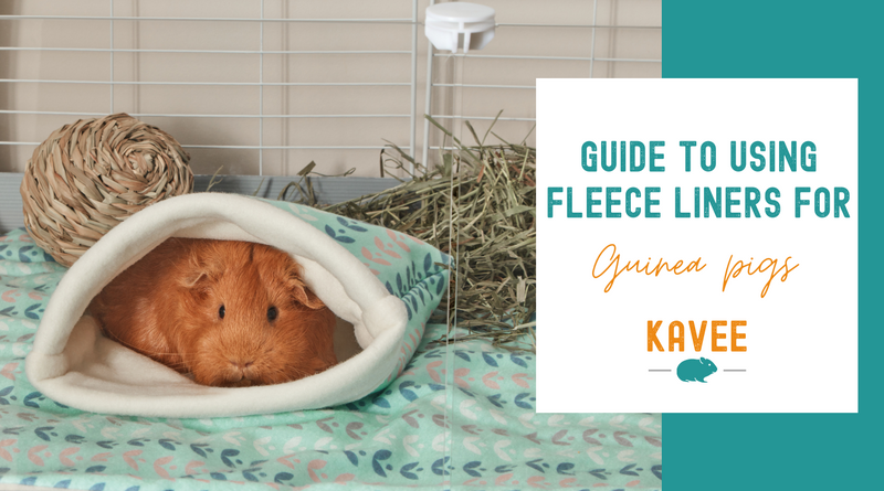 Guide to using fleece liners for guinea pigs