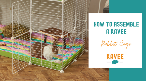 How to assemble a Kavee rabbit cage
