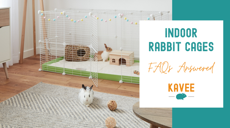Indoor Rabbit Cages Questions Answered
