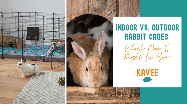 Indoor Vs Outdoor Rabbit Cages