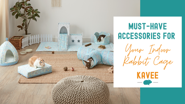 Must Have Accessories for Your Indoor Rabbit Cage
