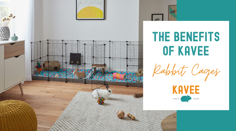 The benefits of Kavee Rabbit Cages