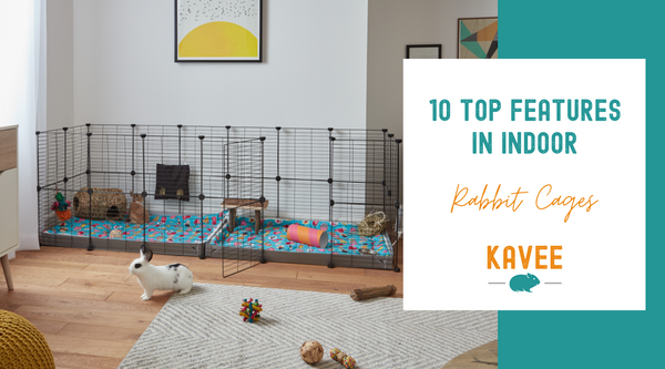 Top 10 Features of an Indoor Cage