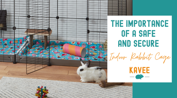 Why Choose a Safe and Secure Indoor Rabbit Cage