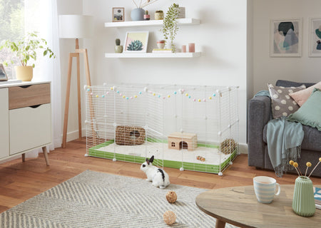 C&C Cages for Rabbits