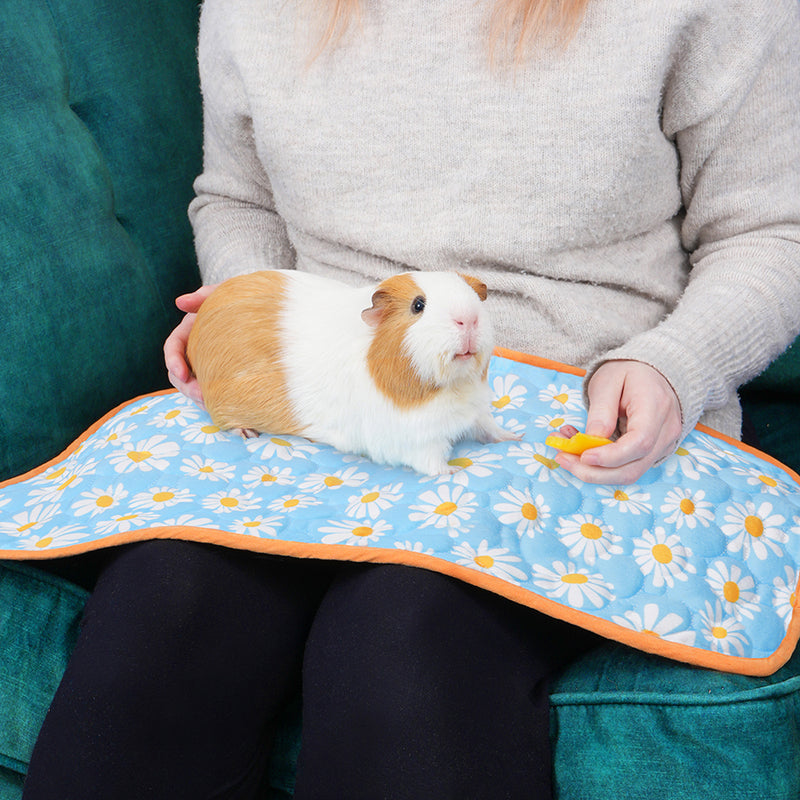 Kavee patterned lap pad in daisy print on womans lap with white and brown guinea pig