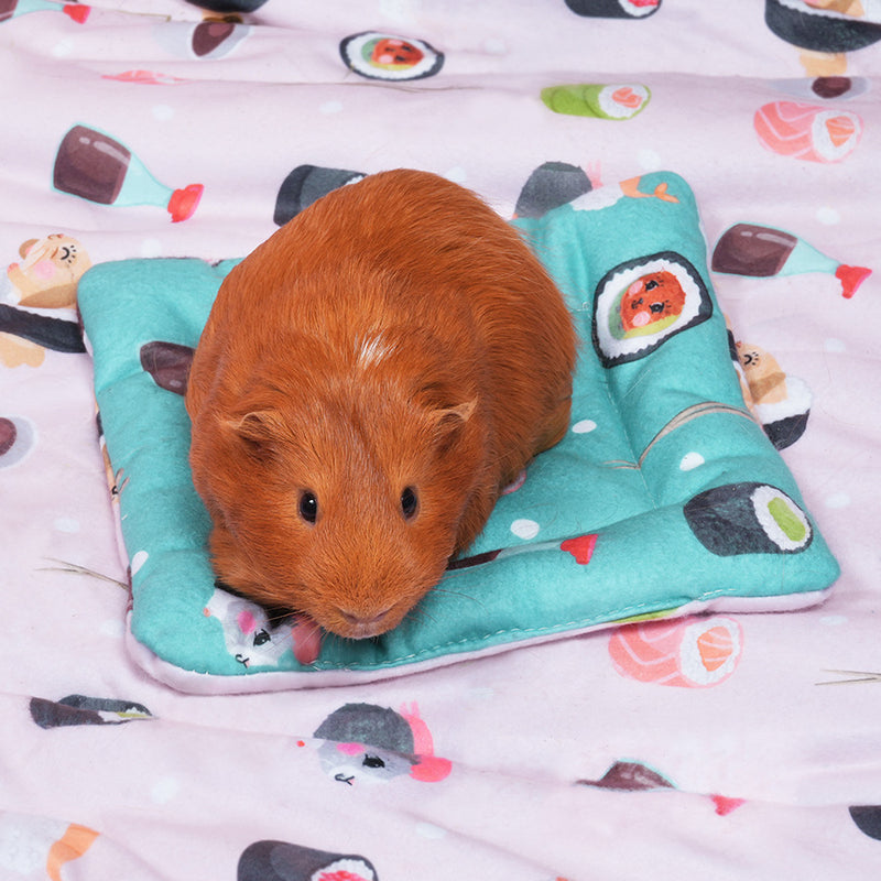 Brown guinea pig on Kavee limited edition sushi peepad on top of reversed pink limited edition sushi liner