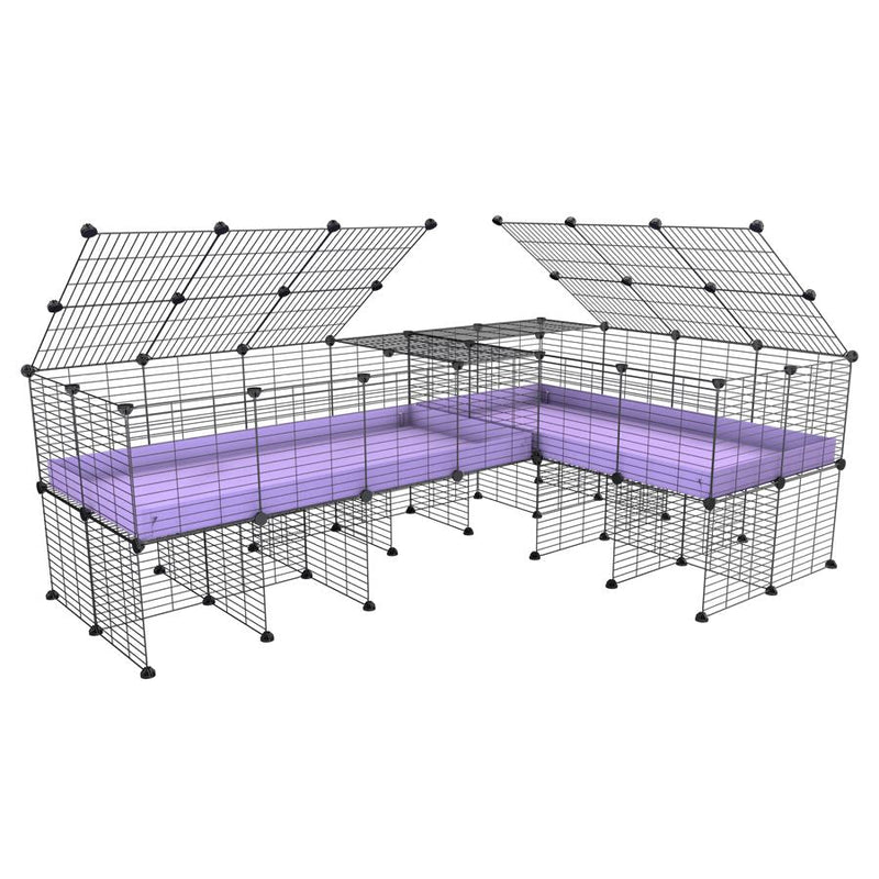 A 8x2 L-shape C&C cage with lid divider stand for guinea pig fighting or quarantine with lilac coroplast from brand kavee