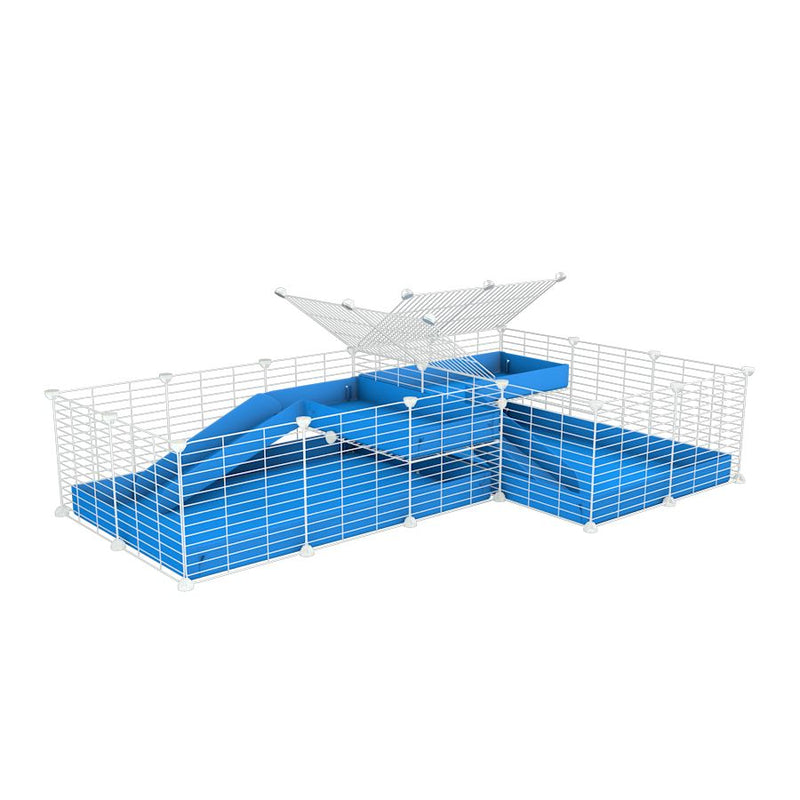 A 6x2 L-shape white C&C cage with divider and loft ramp for guinea pig fighting or quarantine with blue coroplast from brand kavee
