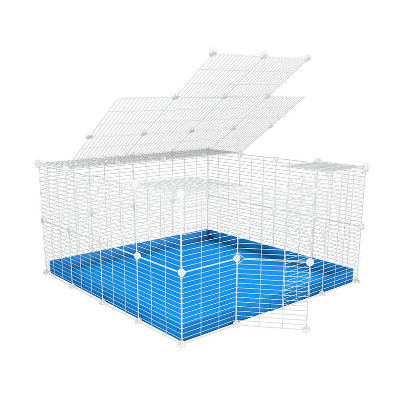 A 4x4 C&C rabbit cage with a top and safe small meshing baby bars white CC grids and blue coroplast by kavee USA