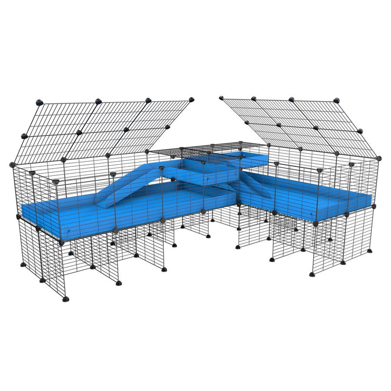 A 8x2 L-shape C&C cage with lid divider stand loft ramp for guinea pig fighting or quarantine with blue coroplast from brand kavee