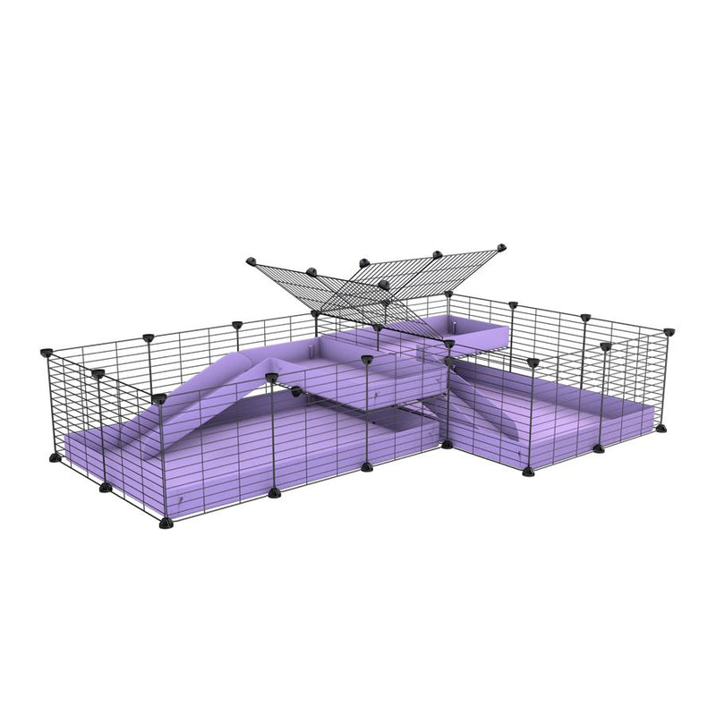 A 6x2 L-shape C&C cage with divider and loft ramp for guinea pig fighting or quarantine with lilac coroplast from brand kavee