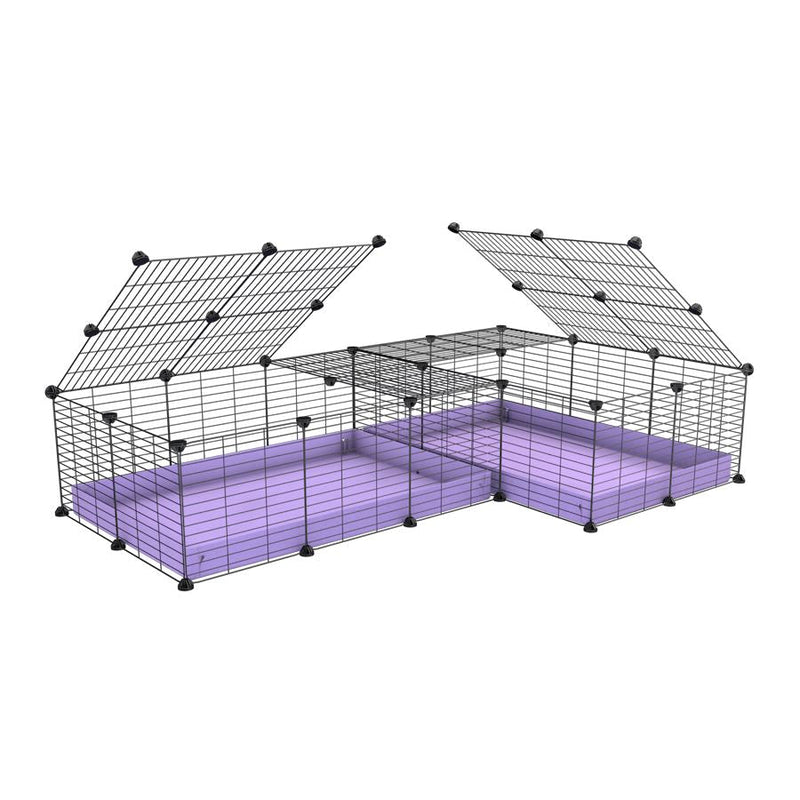 A 6x2 L-shape C&C cage with lid divider for guinea pig fighting or quarantine with lilac coroplast from brand kavee