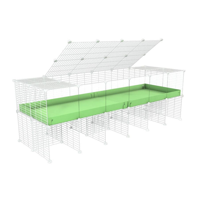 a 6x2 C&C cage with clear transparent perspex acrylic windows  for guinea pigs with a stand and a top green pastel pistachio plastic safe white grids by kavee
