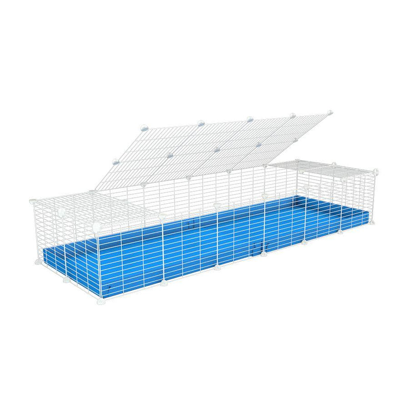A 2x6 C and C cage for guinea pigs with blue coroplast a lid and small hole white C&C grids from brand kavee