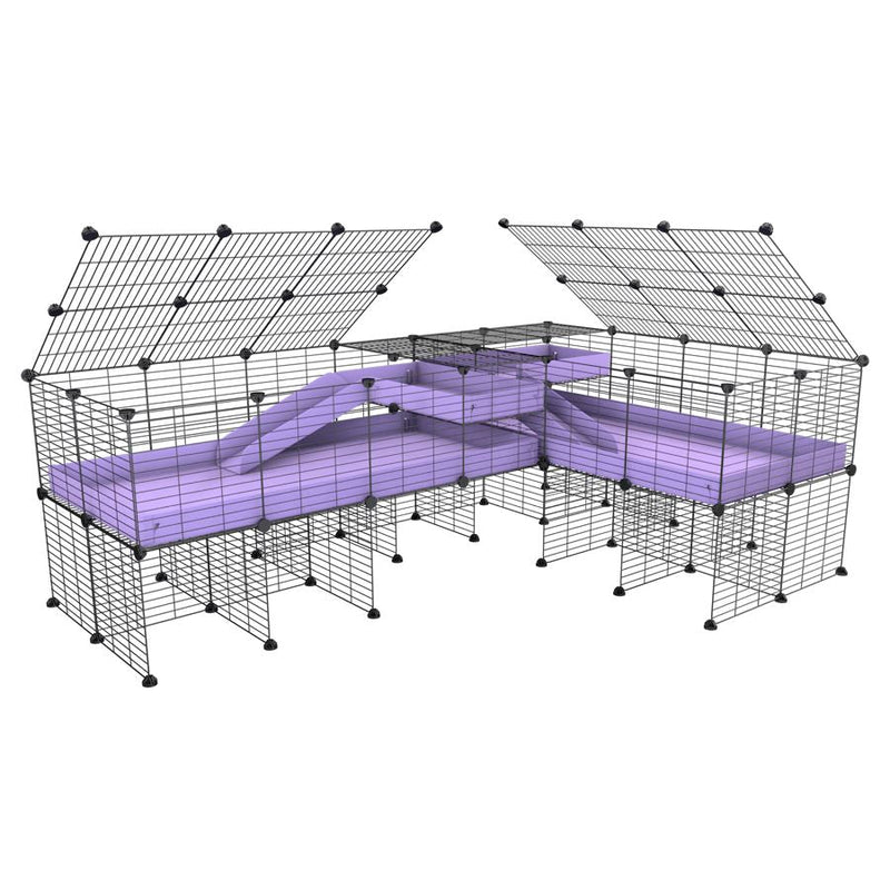 A 8x2 L-shape C&C cage with lid divider stand loft ramp for guinea pig fighting or quarantine with lilac coroplast from brand kavee