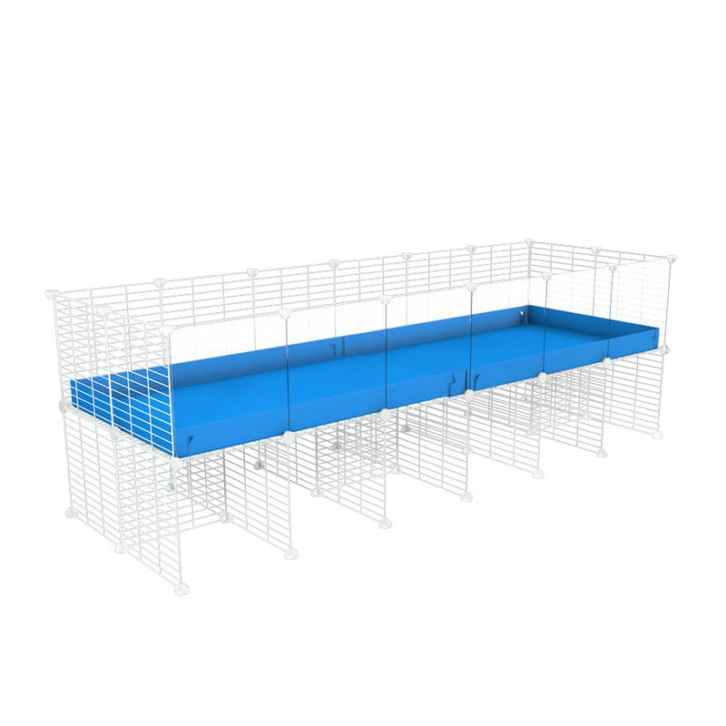 a 6x2 CC cage with clear transparent plexiglass acrylic panels  for guinea pigs with a stand blue correx and white grids sold in USA by kavee