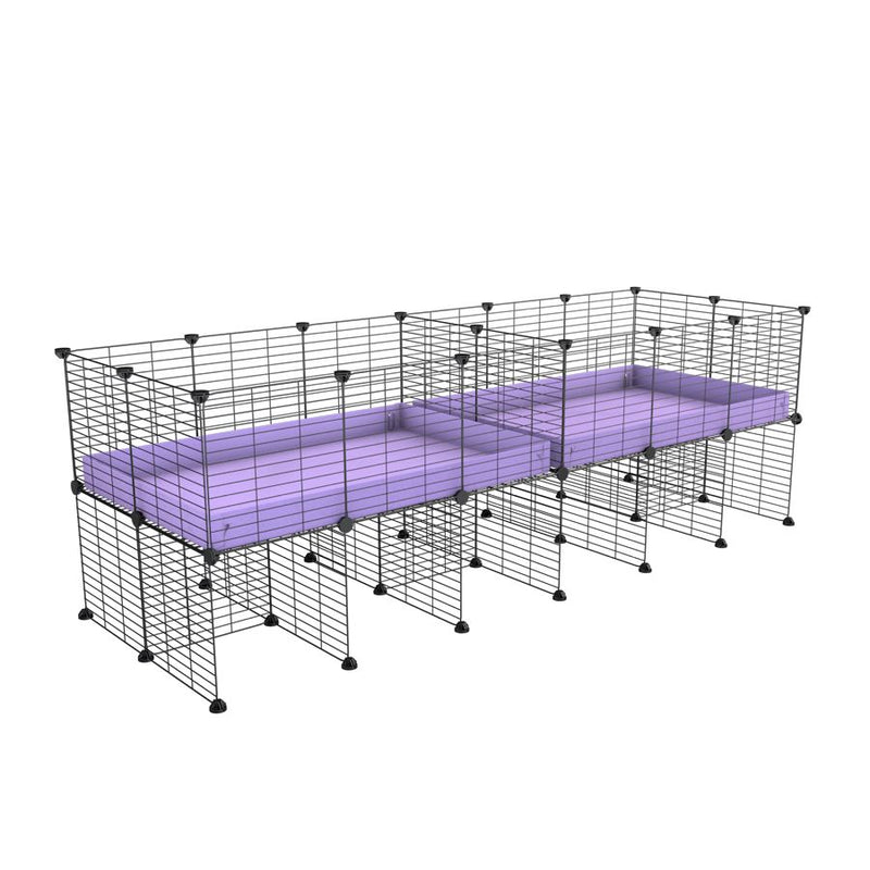 A 6x2 C&C cage with divider and stand for guinea pig fighting or quarantine with lilac coroplast from brand kavee