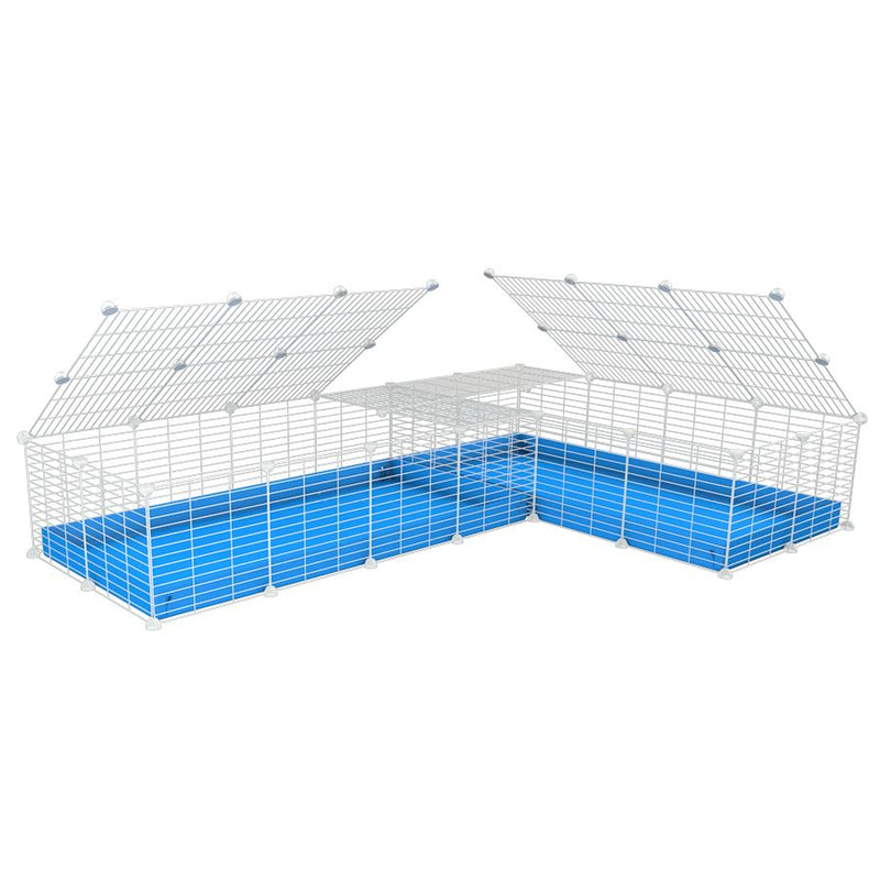 A 8x2 L-shape white C&C cage with lid divider for guinea pig fighting or quarantine with blue coroplast from brand kavee