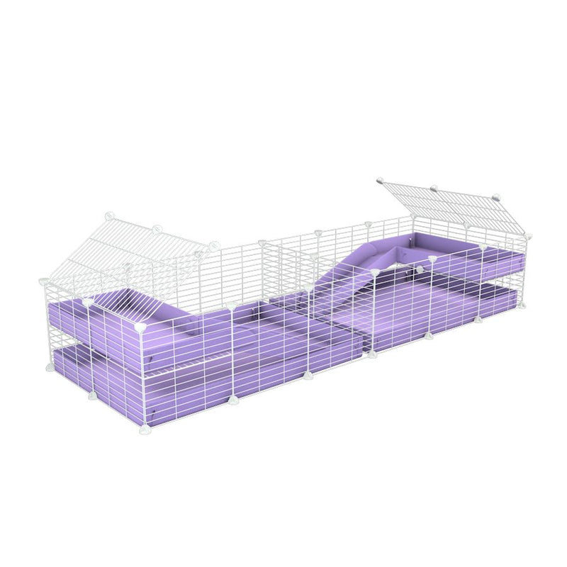 A 6x2 white C&C cage with divider and loft ramp for guinea pig fighting or quarantine with lilac coroplast from brand kavee