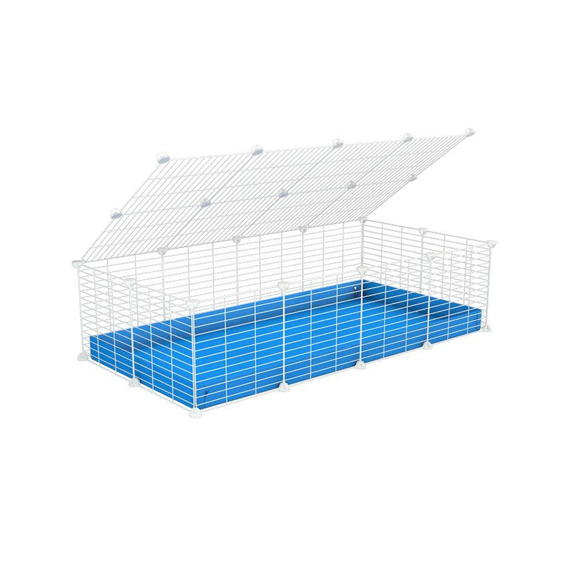 A 2x4 C and C cage for guinea pigs with blue coroplast a lid and small hole white cc grids from brand kavee