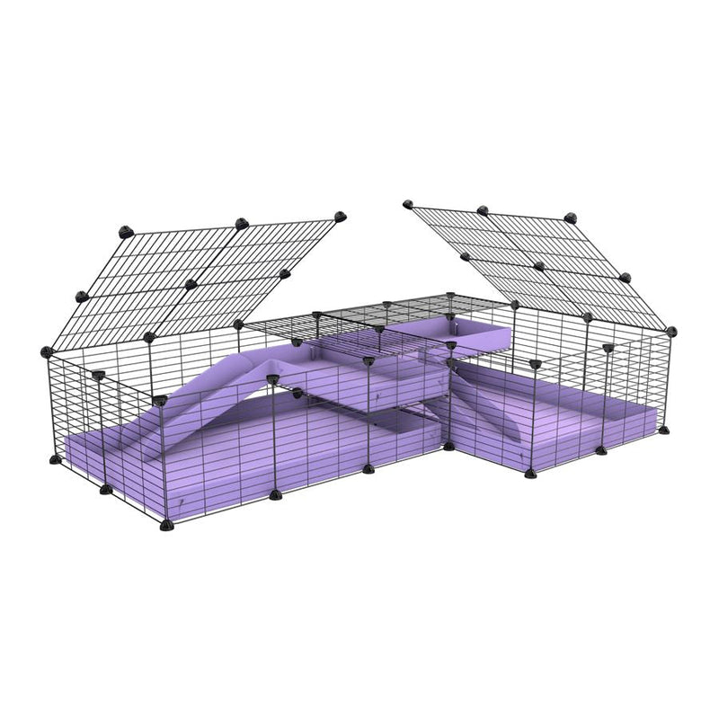 A 6x2 L-shape C&C cage with lid divider loft ramp for guinea pig fighting or quarantine with lilac coroplast from brand kavee
