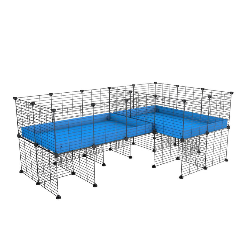 A 6x2 L-shape C&C cage with divider and stand for guinea pig fighting or quarantine with blue coroplast from brand kavee