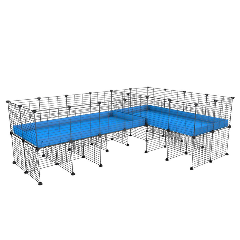 A 8x2 L-shape C&C cage with divider and stand for guinea pig fighting or quarantine with blue coroplast from brand kavee