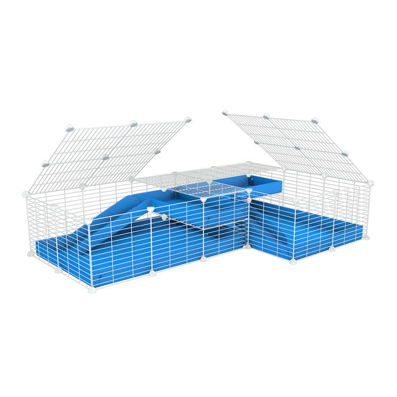 A 6x2 L-shape white C&C cage with lid divider loft ramp for guinea pig fighting or quarantine with blue coroplast from brand kavee