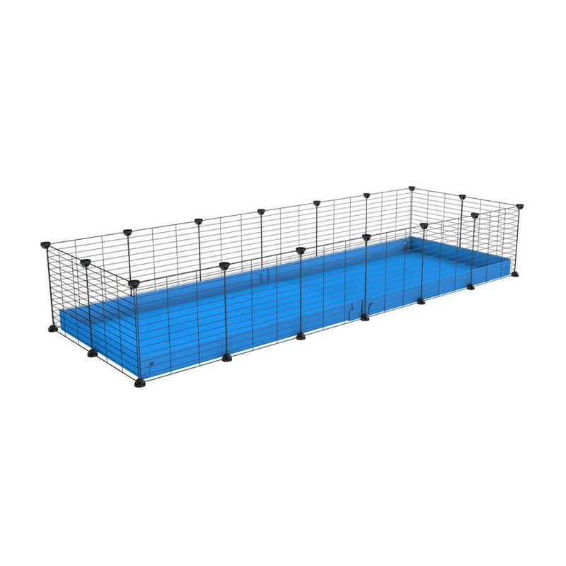 A cheap 6x2 C&C cage for guinea pig with blue coroplast and baby grids from brand kavee
