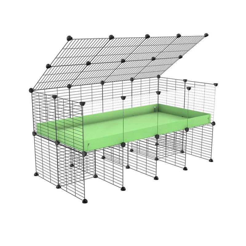 a 4x2 C&C cage with clear transparent perspex acrylic windows  for guinea pigs with a stand and a top green pastel pistachio plastic safe grids by kavee