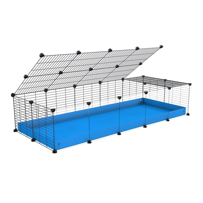 A 2x5 C and C cage with clear transparent plexiglass acrylic grids  for guinea pigs with blue coroplast a lid and small hole grids from brand kavee