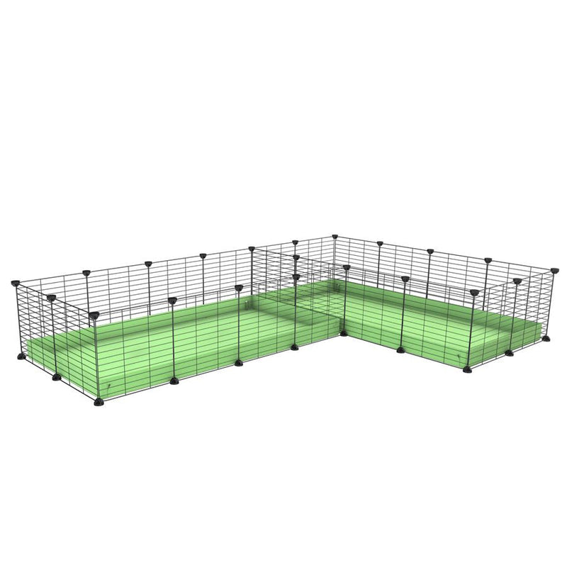A 8x2 L-shape C&C cage with divider for guinea pig fighting or quarantine with green coroplast from brand kavee