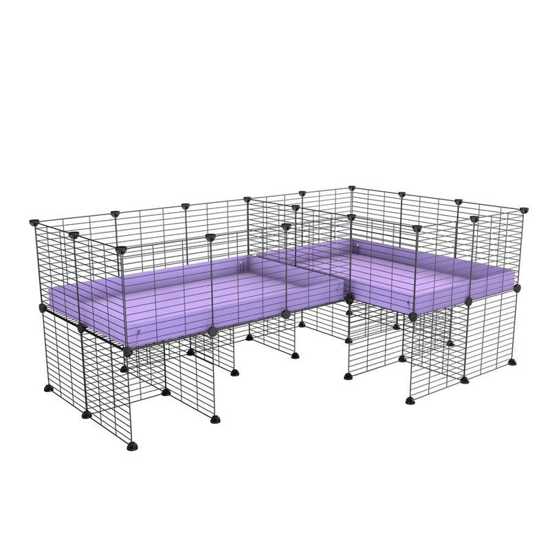 A 6x2 L-shape C&C cage with divider and stand for guinea pig fighting or quarantine with lilac coroplast from brand kavee