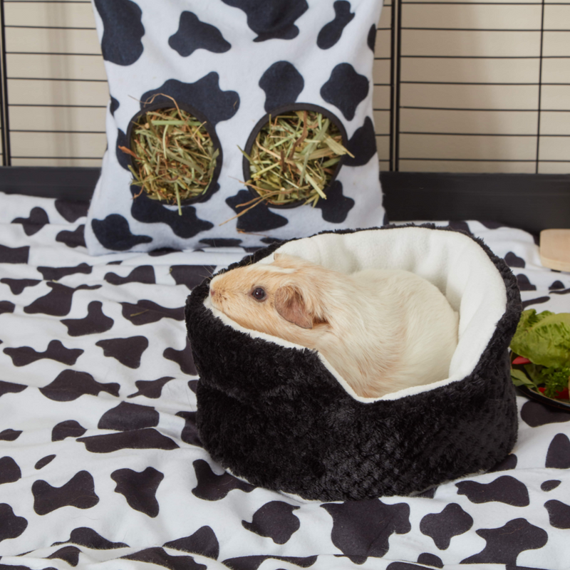 a white guinea pig inside of a kavee c and c black cuddle cup on a cow print fleece liner