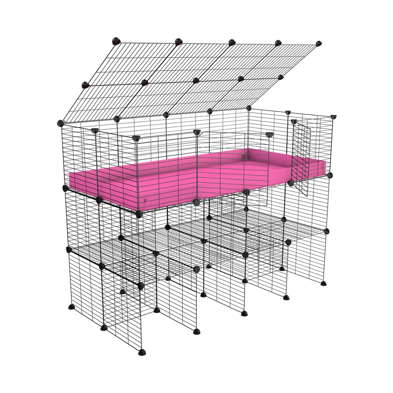 4x2 C&C Cage with Double Stand