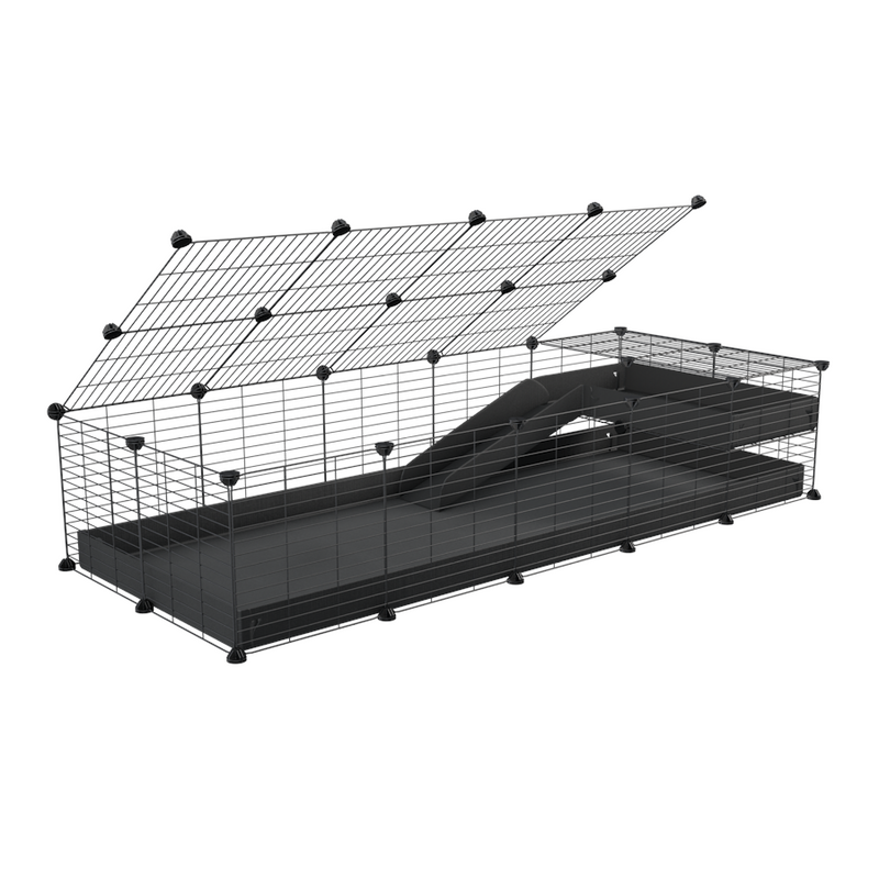 a 2x5 C and C guinea pig cage with loft ramp lid small hole size grids black coroplast kavee