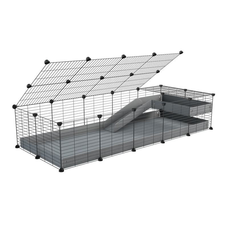 a 2x5 C and C guinea pig cage with loft ramp lid small hole size grids gray coroplast kavee
