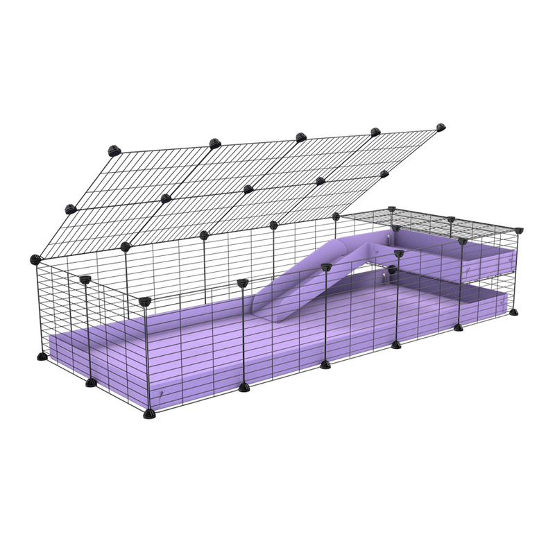 5x2 C&C Cage with Loft & Ramp