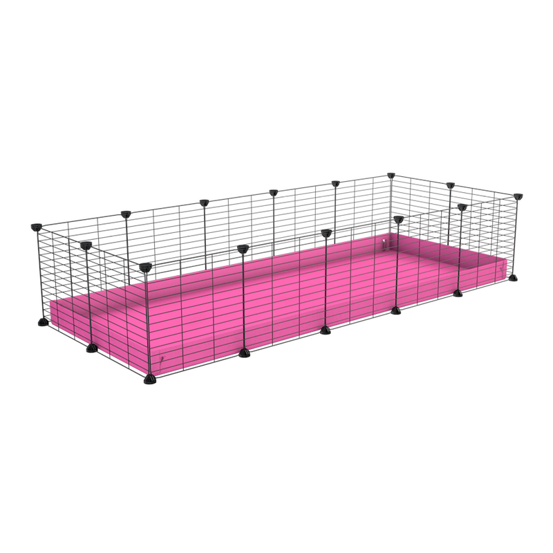 A cheap 5x2 C&C cage for guinea pig with pink coroplast and baby grids from brand kavee
