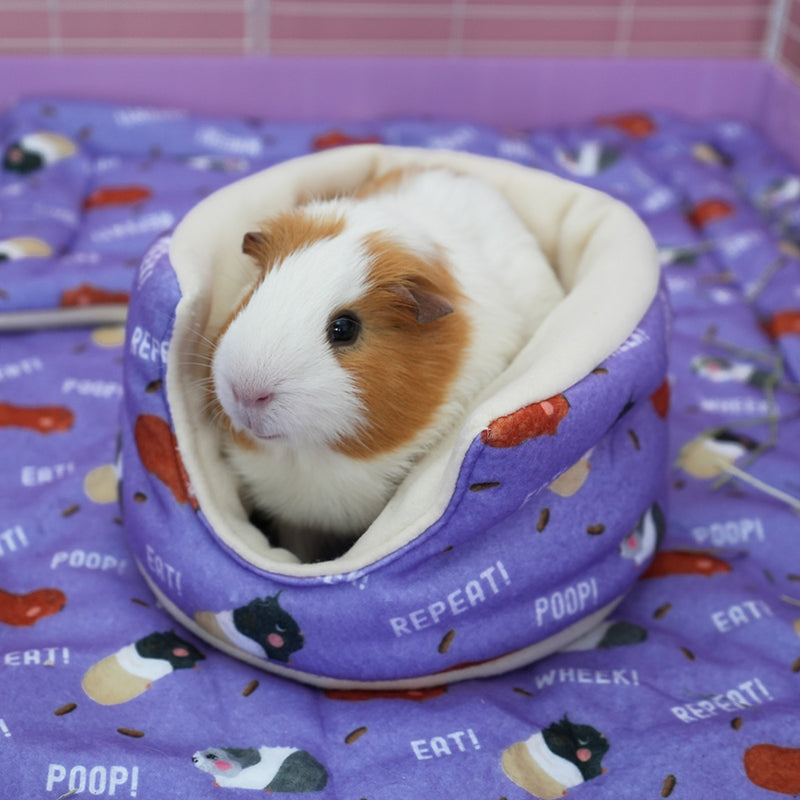White and brown guinea pig in purple poop design cuddle cup on purple poop fleece liner in white cage with pink Coroplast by Kavee