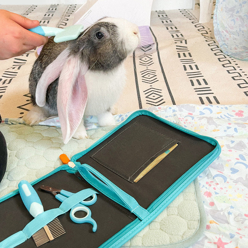 Black and white rabbit being brushed with Kavee brush, grooming kit open showing comb and scissors