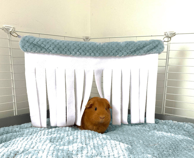ginger guinea pig hiding in blue kavee fleece corner curtain in c and c cage laying on blue fleece liner