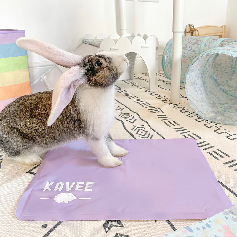 white and grey rabbit on kavee's lilac cooling mat on patterned rug with accessories in background